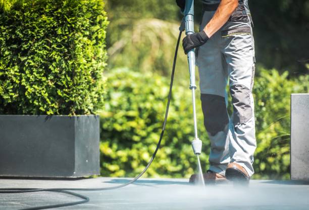 Best Sidewalk and Walkway Cleaning  in North Aurora, IL